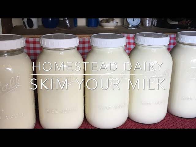 How to Skim the Cream Off Your Milk! class=