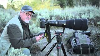 Photographing a Moose in the Grand Tetons with Tom Mangelsen