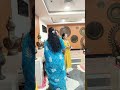 #shorts #viral #funny#youtubeshorts #trending #viralvideo #comedy