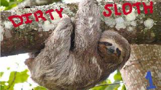 Dirty Sloth - Peepers
