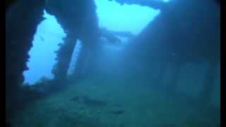 20090110 Tokaimaru & Finger Reef