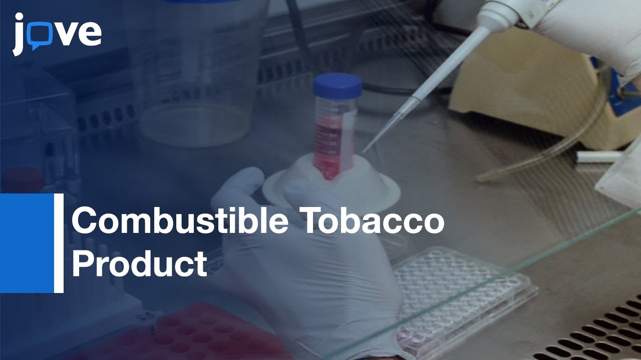 hestia tobacco review Hestia, an Indie Cigarette Brand, Is Relying on New York Influencers
