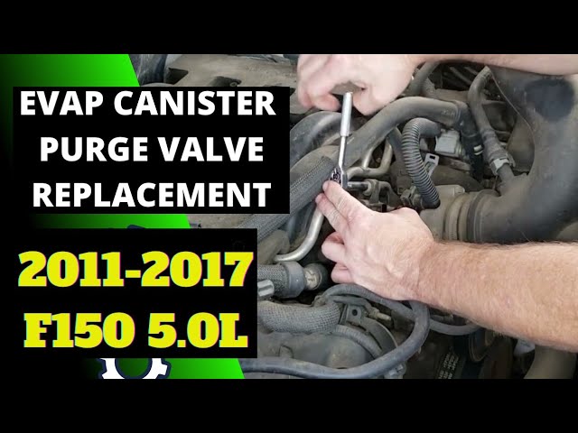 Ford F150 Evap Canister Location