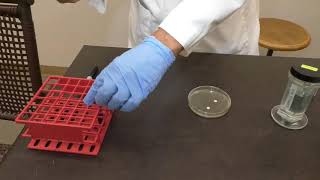 Antibiotic and Disinfectant discs