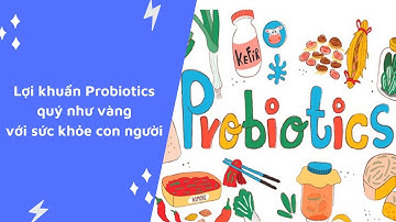Lợi khuẩn probiotic là gì? Tác dụng probiotic với sức khỏe | Gafo Official