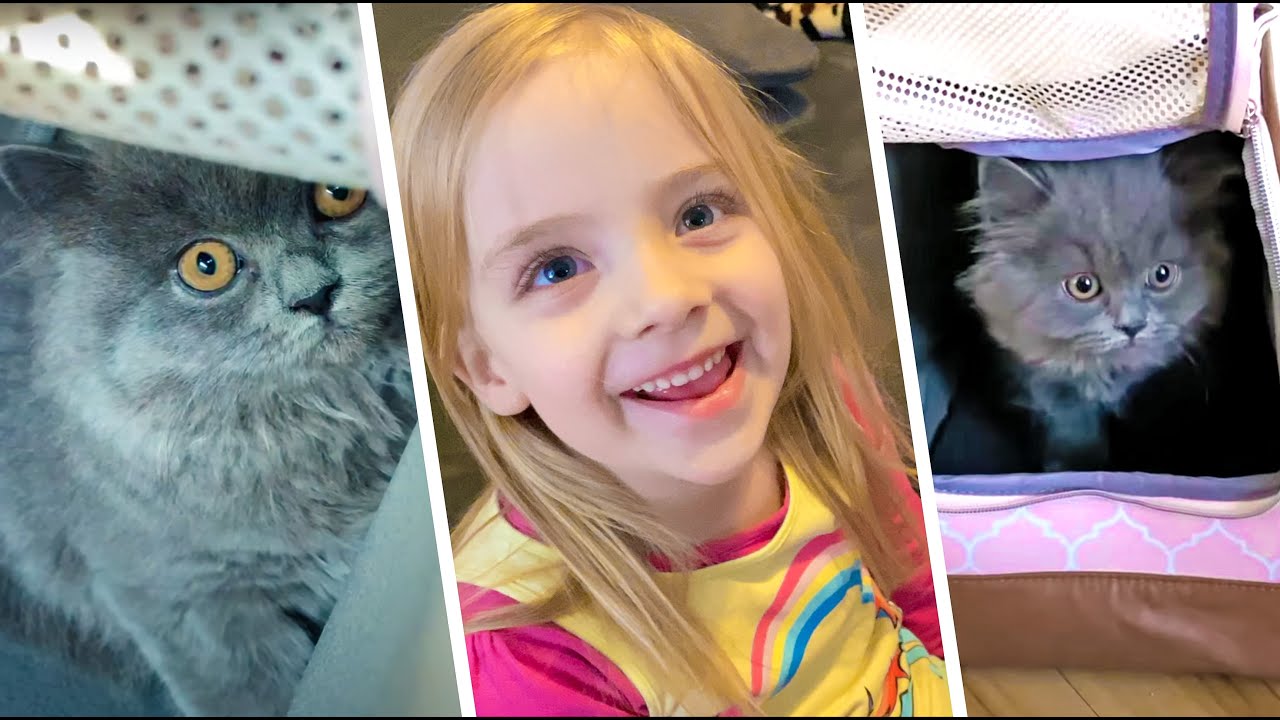 Paulina bekommt eine Baby Katze 🐱😍