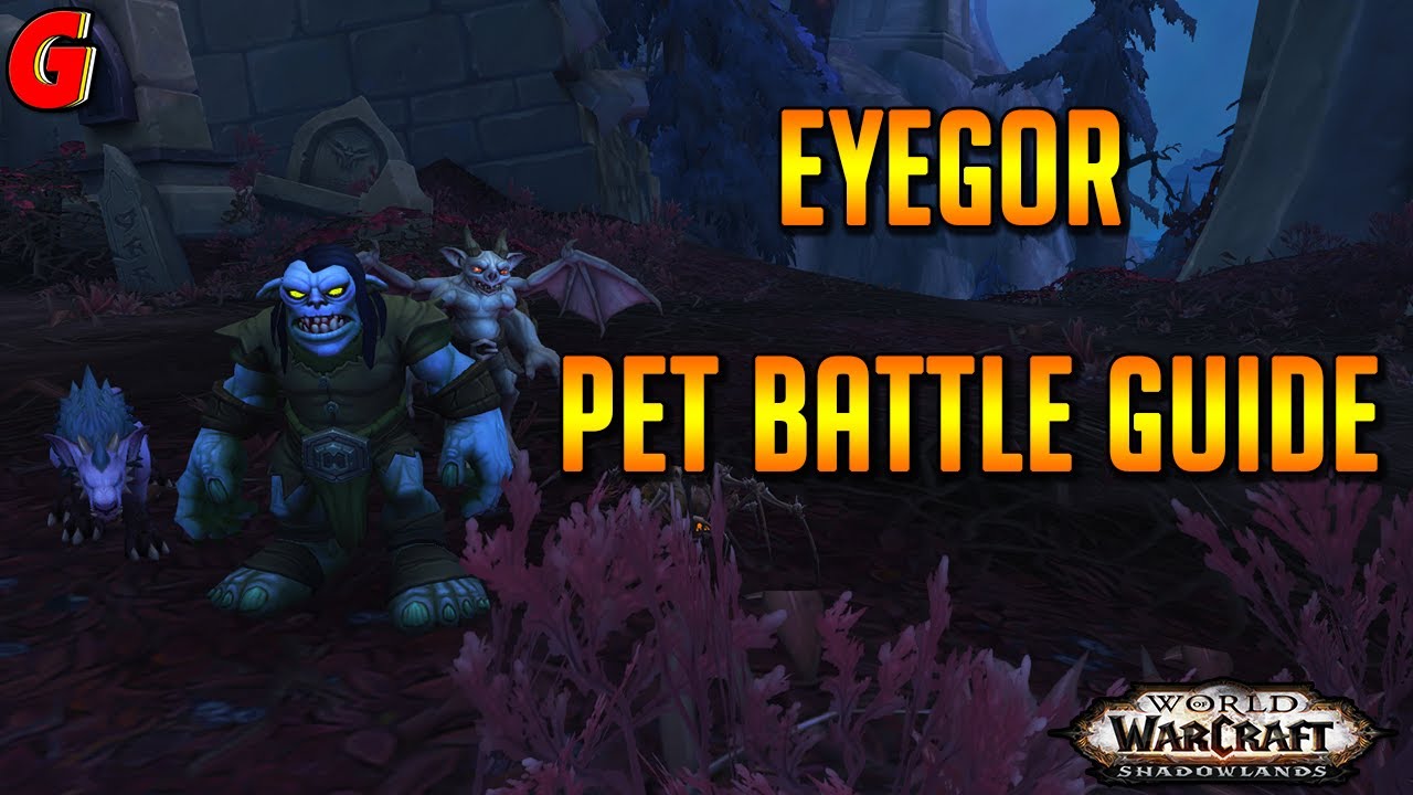 Eyegor Pet Battle Guide Shadowlands YouTube