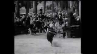 Rodeo at Meeanee Domain (1949)