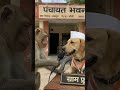 gram pradhan is safalta ke liye#shastri
