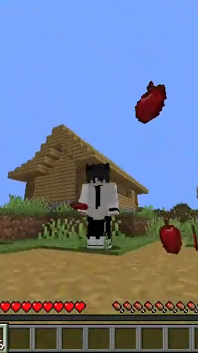 #minecraft aaha tamatar bade majedar