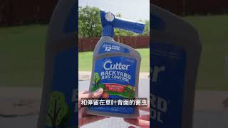 30 秒草坪除虫攻略 - Inspect And Kill Your Lawn Insects In Spring | KK和Kathy 的后花园