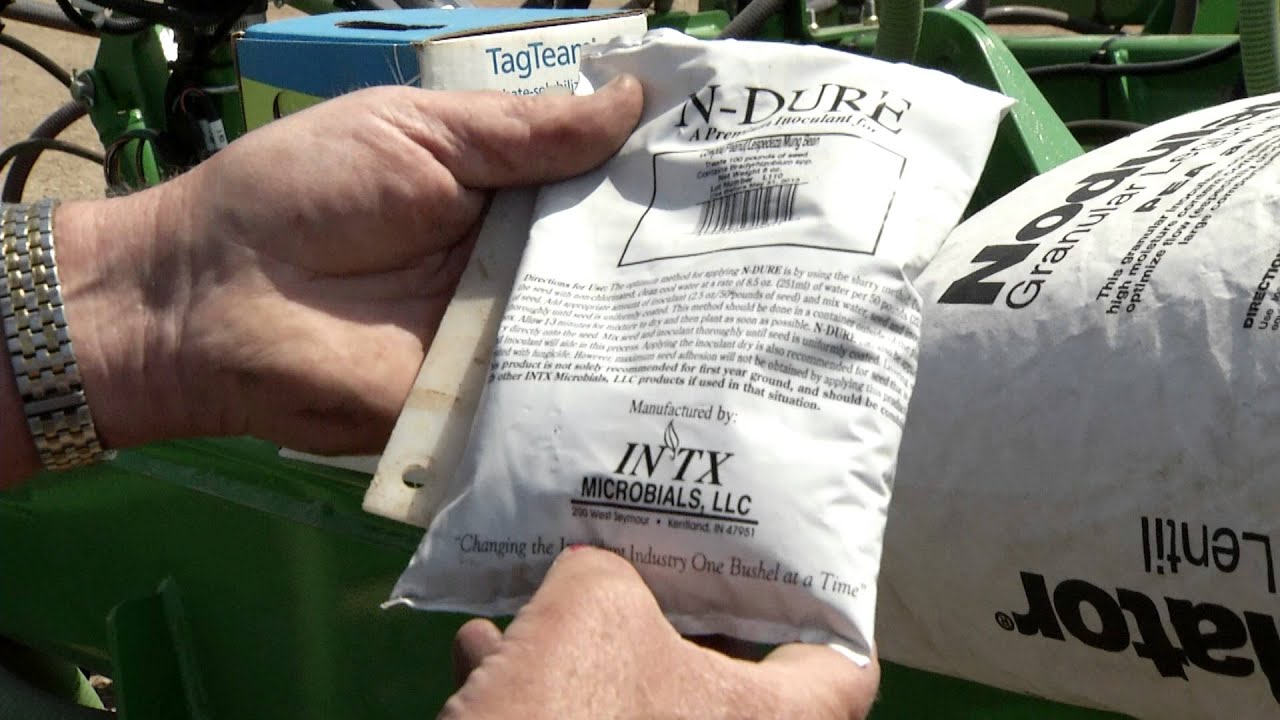 Выращивание полевого гороха — Посев