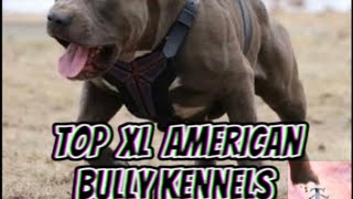 Top Xl American Bully Kennels