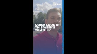 Quick weather check
