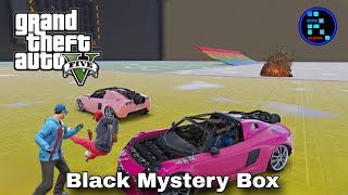 GTA V | Funny Black Mystery Box Insane Fight