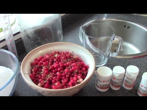 Video: How To Make Red Currant Wine