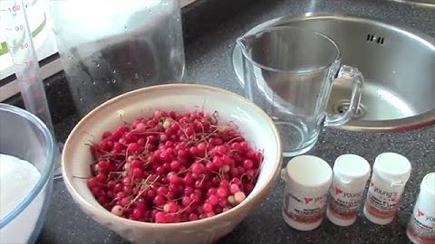 How to make Redcurrant Wine by Brewbitz Homebrew Shop