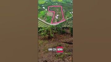 nhà vườn trái cây, mặt tiền nhựa.. ttại định quán đồng nai.. #batdongsan