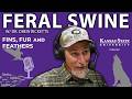 Hog Wild | Fins, Fur, and Feathers Episode 65 - Feral Swine