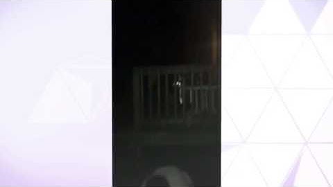 DS106 video compilation