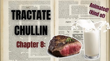 An Animated Summary of the Entire Talmud | Book 32, Chapter 8