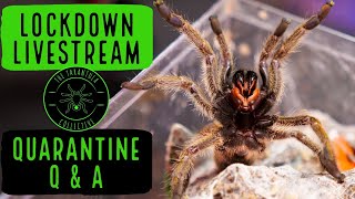 Lockdown Live Stream Q & A Ask Me Anything