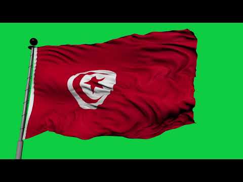 Tunisia Flag Waving GREEN SCREEN CHROMA MATTE 