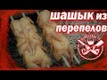 ШАШЛЫК из перепелов  Перепела гриль Перепелиный шашлык Перепела на мангале