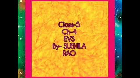 Class-5(E.V.S) Ch-4(Let