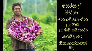 සෝසල් මිඩියා නොතිබෙන්න ඇත්ටම අද මම මොනවා කරයිද මට හිතාගන්නවත් බෑ