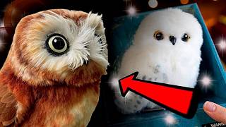 I Turned This Toy into a Realistic Owl!