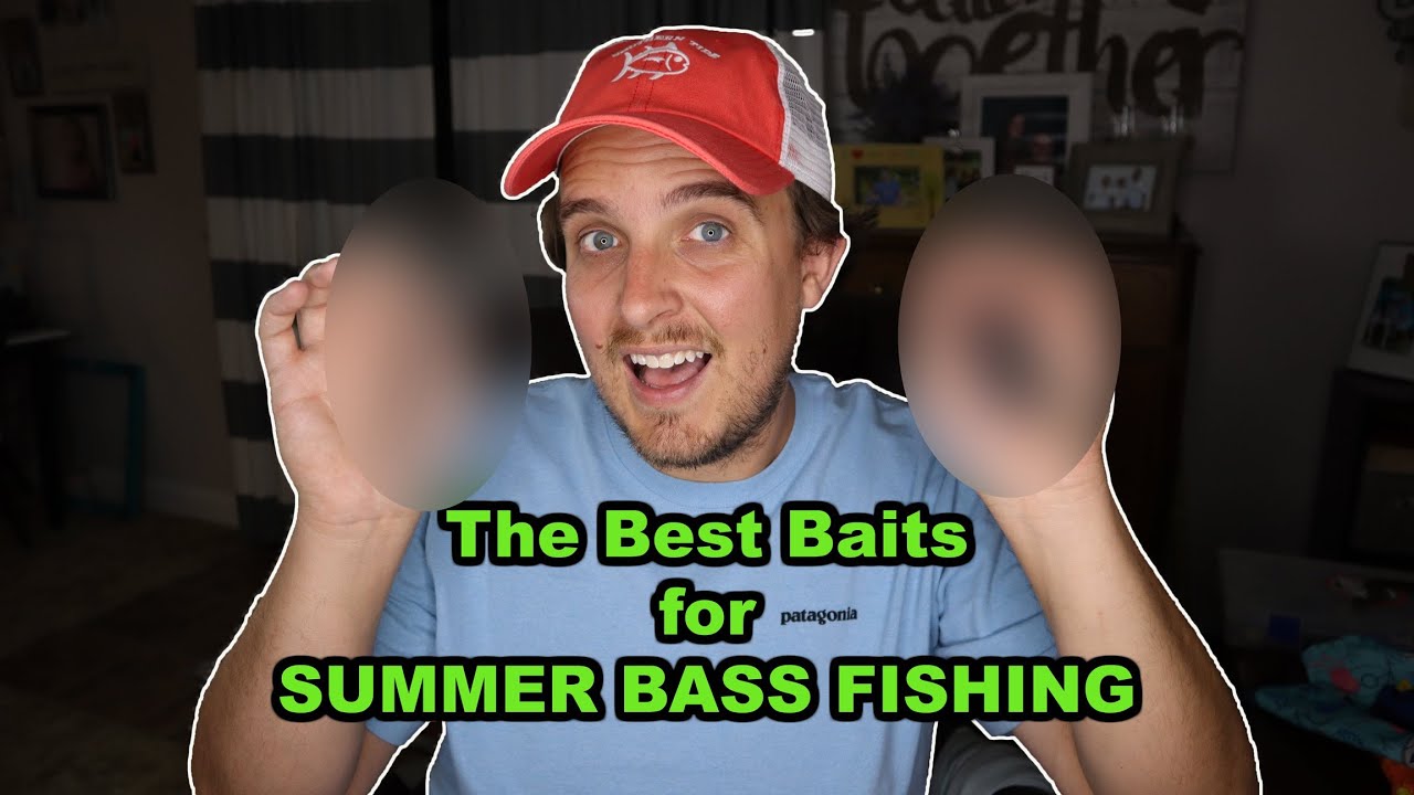 The Best Baits for Summer Bass Fishing YouTube
