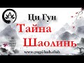 Что такое Цигун? Базовые понятия для начинающих. Китайская гимнастика от мастеров Шаолиня Джун Юань.