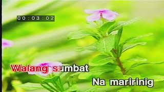 Roselle Nava - Bakit Nga Ba Mahal Kita (karaoke - ABS-CBN Star Music)