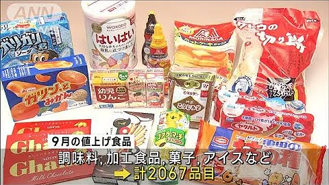 9月の食品値上げ 2067品目　调味料や菓子、粉ミルクなど子育て関连も(2023年8月31日) - 天天要闻
