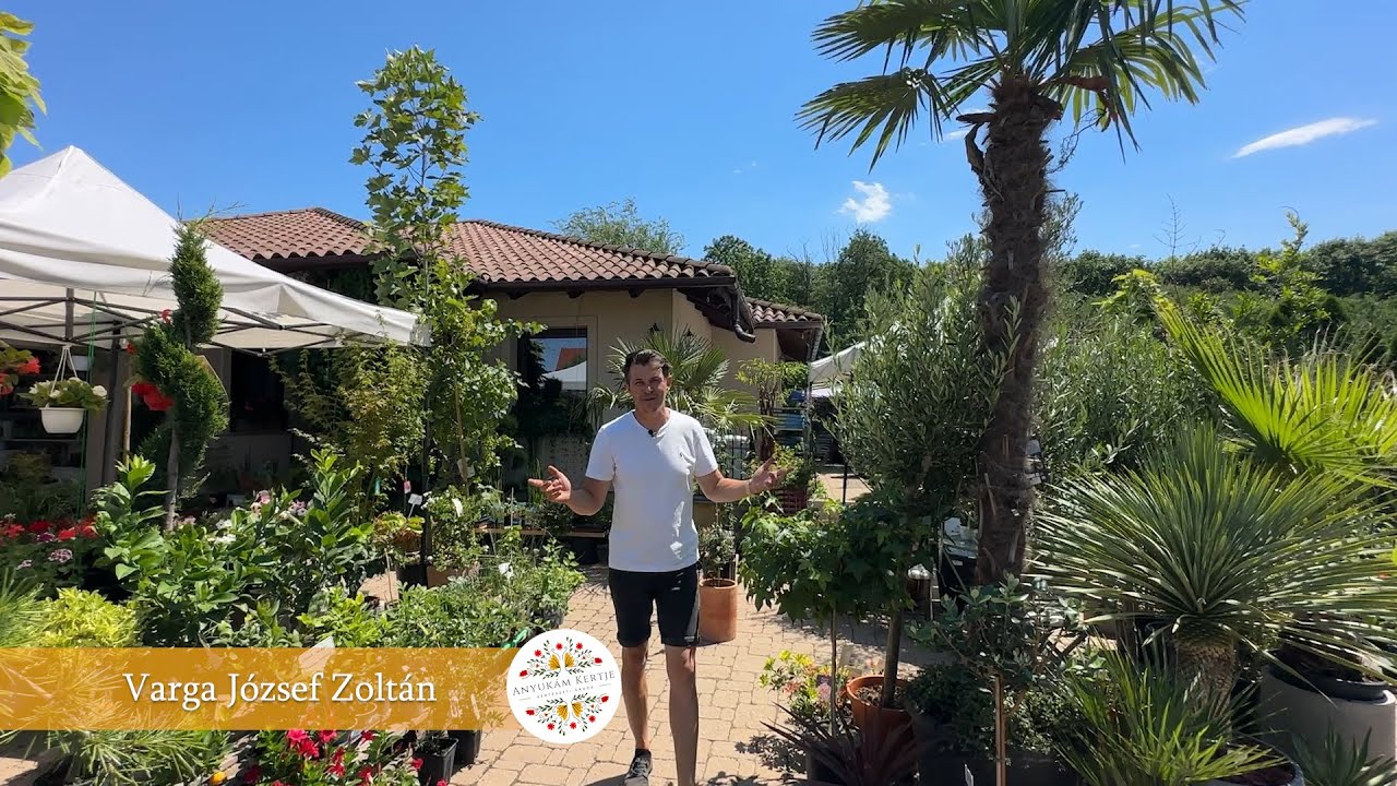 Anyukám kertje - Kertészeti áruda | Tápiószecső | Gyere és nézz körbe nálunk!