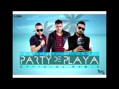 Cobra Ft Yerbaklan Party De Playa Remix