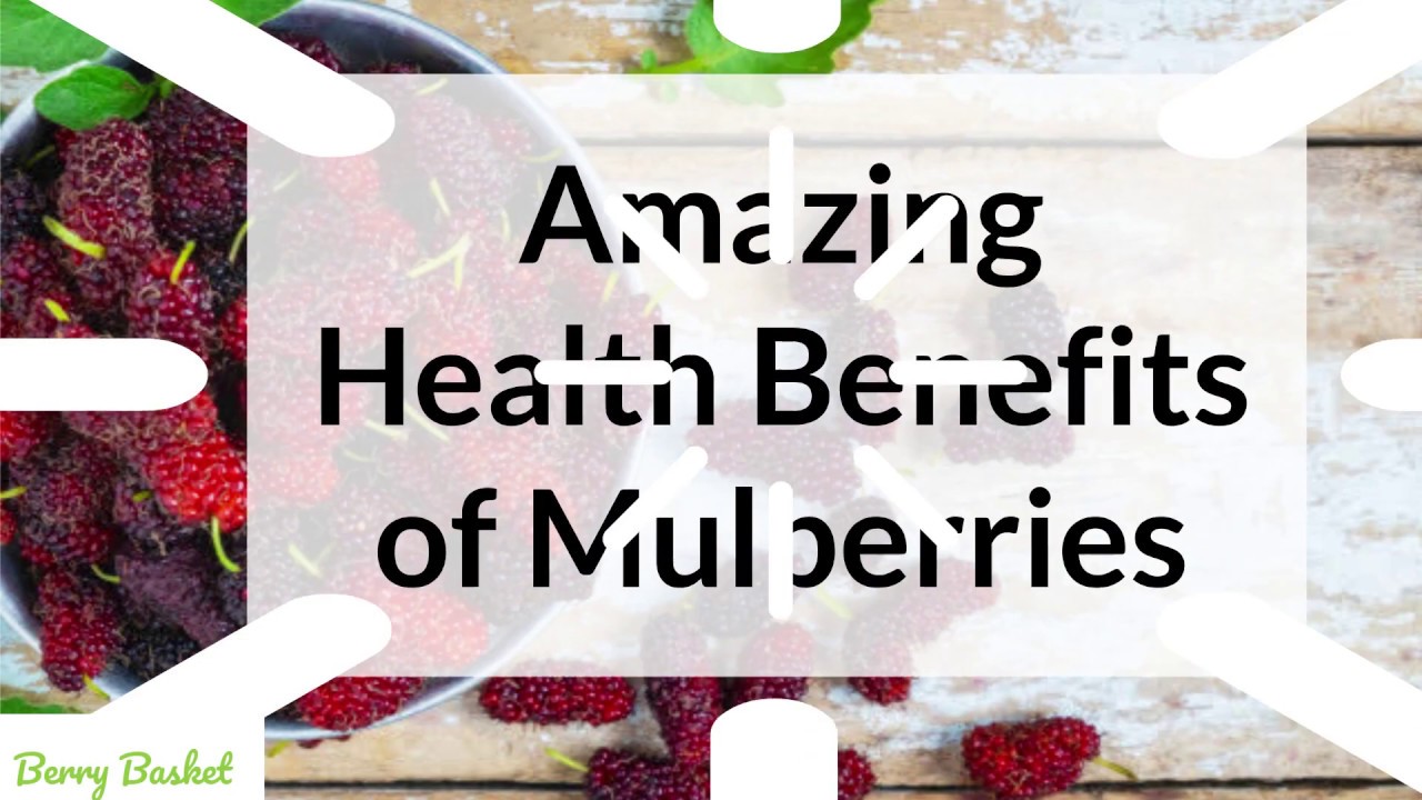 Amazing Health Benefits of Mulberries Berry Basket YouTube