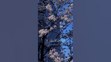 اواخر سورة الحشر بصوت الشيخ ماهر المعيقلي