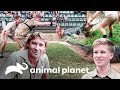 Relembrando o legado de Steve Irwin | A Família Irwin | Animal Planet Brasil