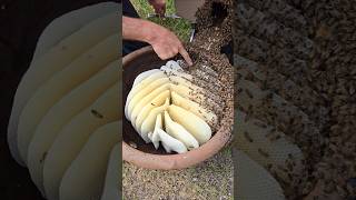 Download Lagu ⚠️ Look away if you're squeamish ⚠️ MP3