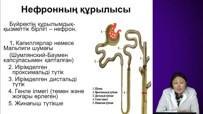 Нидерландыдағы Амстердам топтық секс