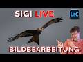 SIGI LIVE - RAW Bildbearbeitung
