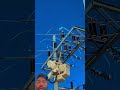 Saudi Arabia Electrician Work Shortvideo Electrician Tranding Viralvideos Saddam 