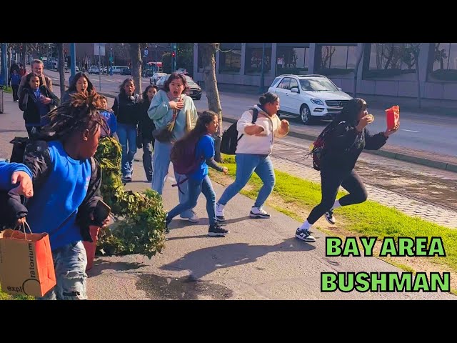 Bushman prank: San Francisco tourists RUNNING for their lives all weekend long! class=