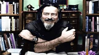 What is Satori like? — Alan Watts