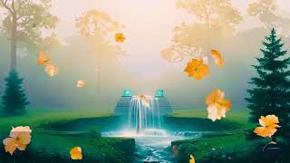 Falling into Silence – A Meditation for Inner Light🪷
