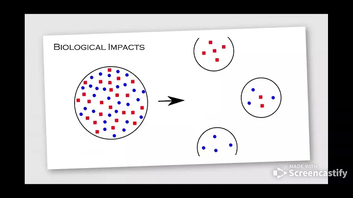 Pecha Kucha- Informative Speech Act