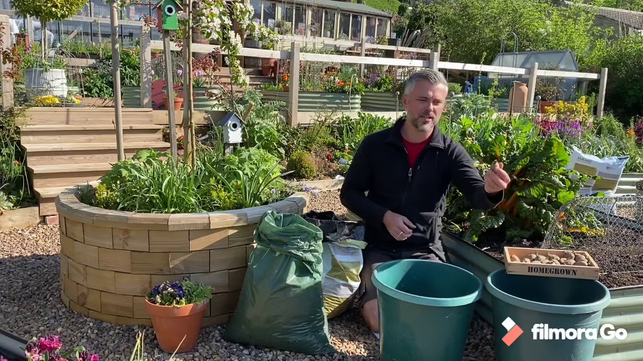 A simple guide to growing potatoes in buckets