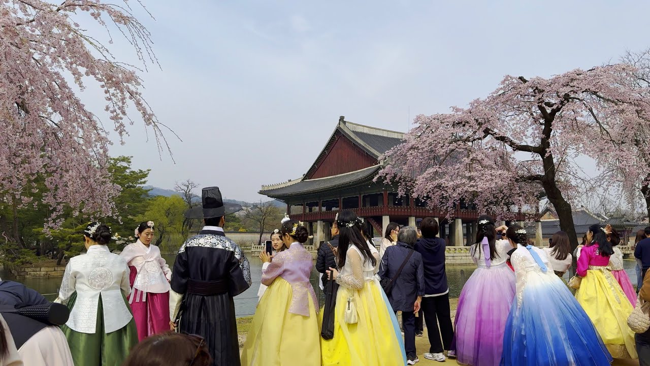 Gyeongbokgung Palace with cherry blossoms and beautiful Hanbok, Seoul | South Korea Travel 4K HDR